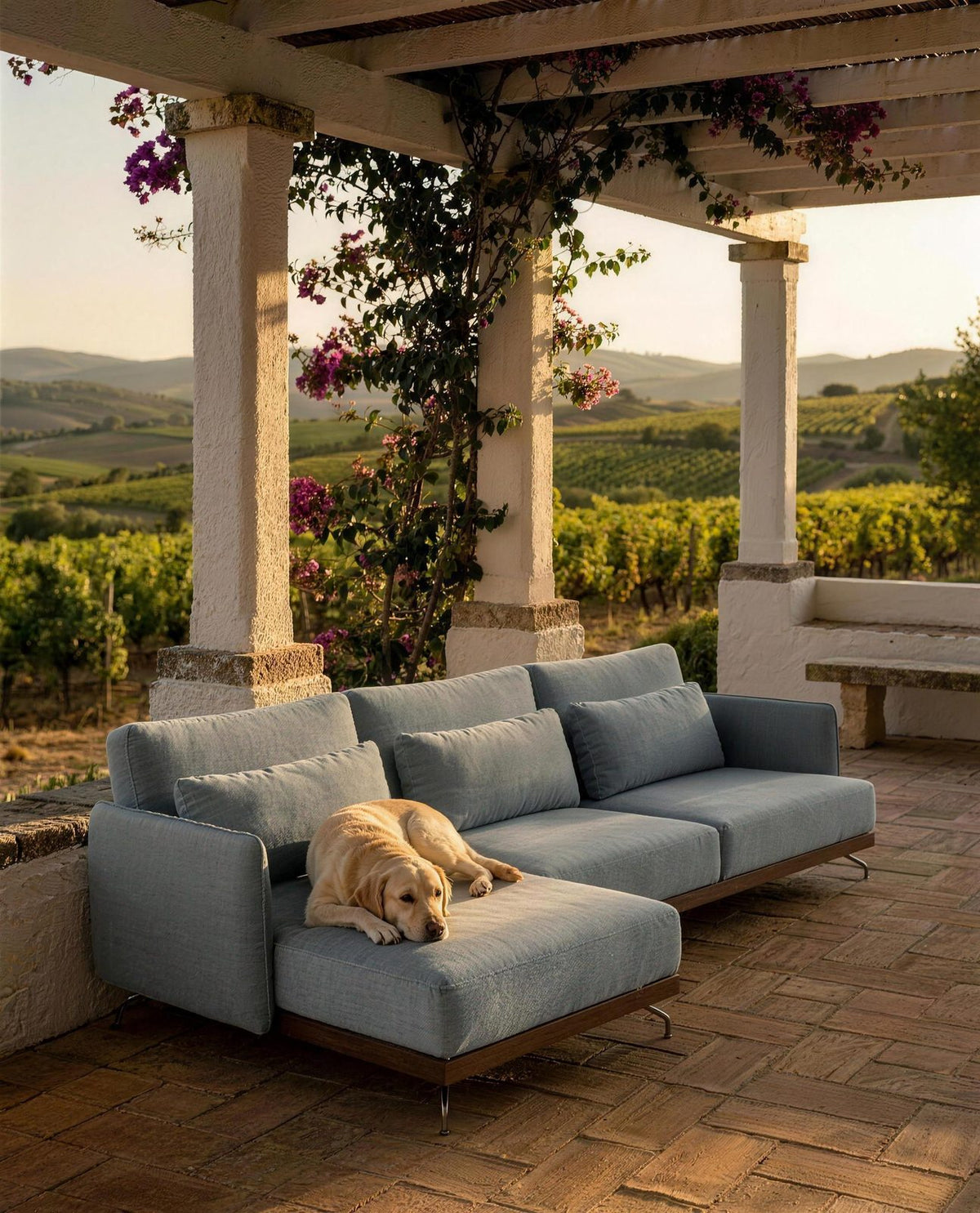 Sofá SLIM com chaise sob uma pérgola sobre vinhas, com um cão a dormir